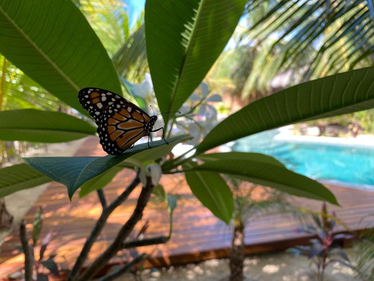 Pousada Villa Zen Barra Grande  Dış mekan fotoğraf