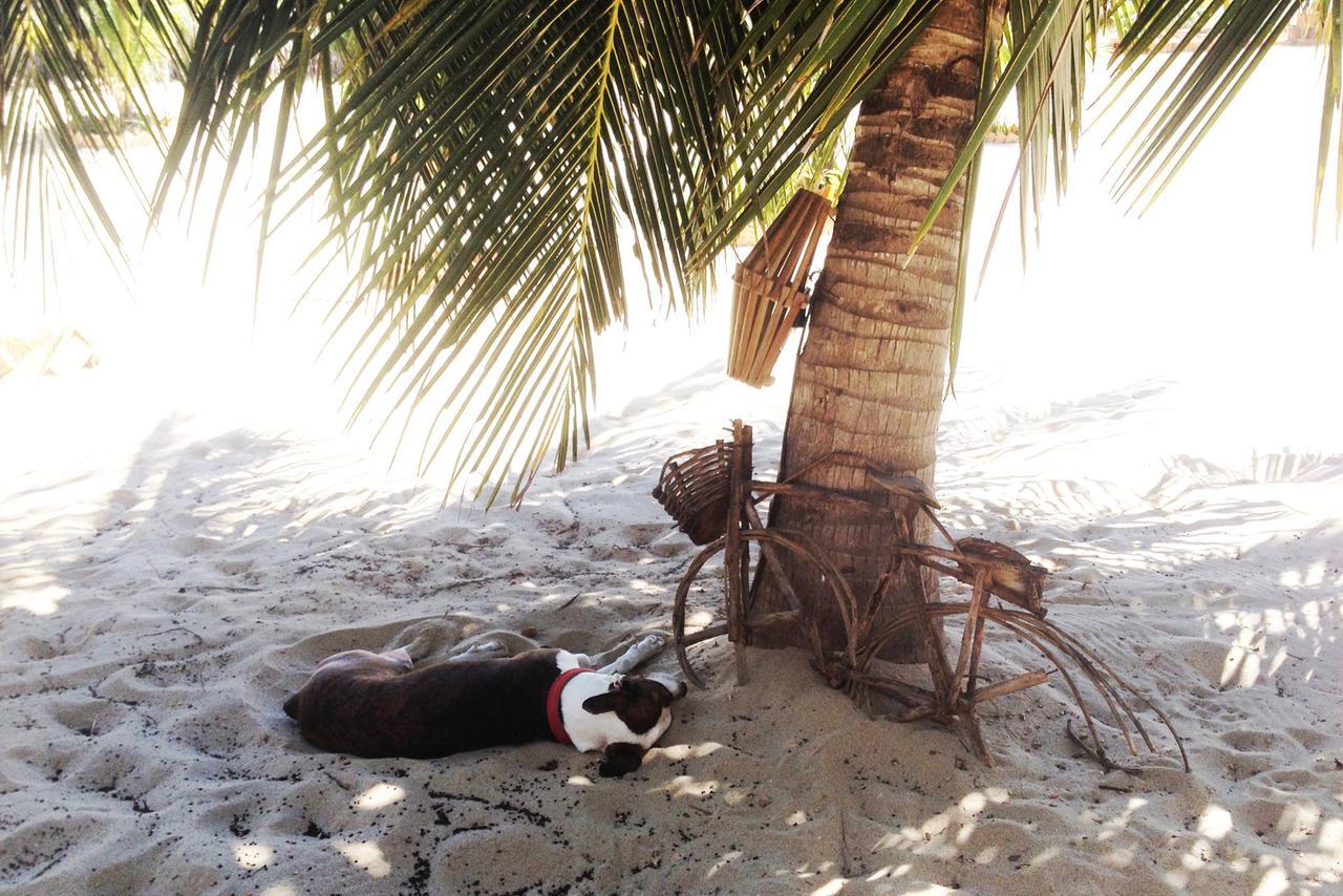 Pousada Villa Zen Barra Grande  Dış mekan fotoğraf