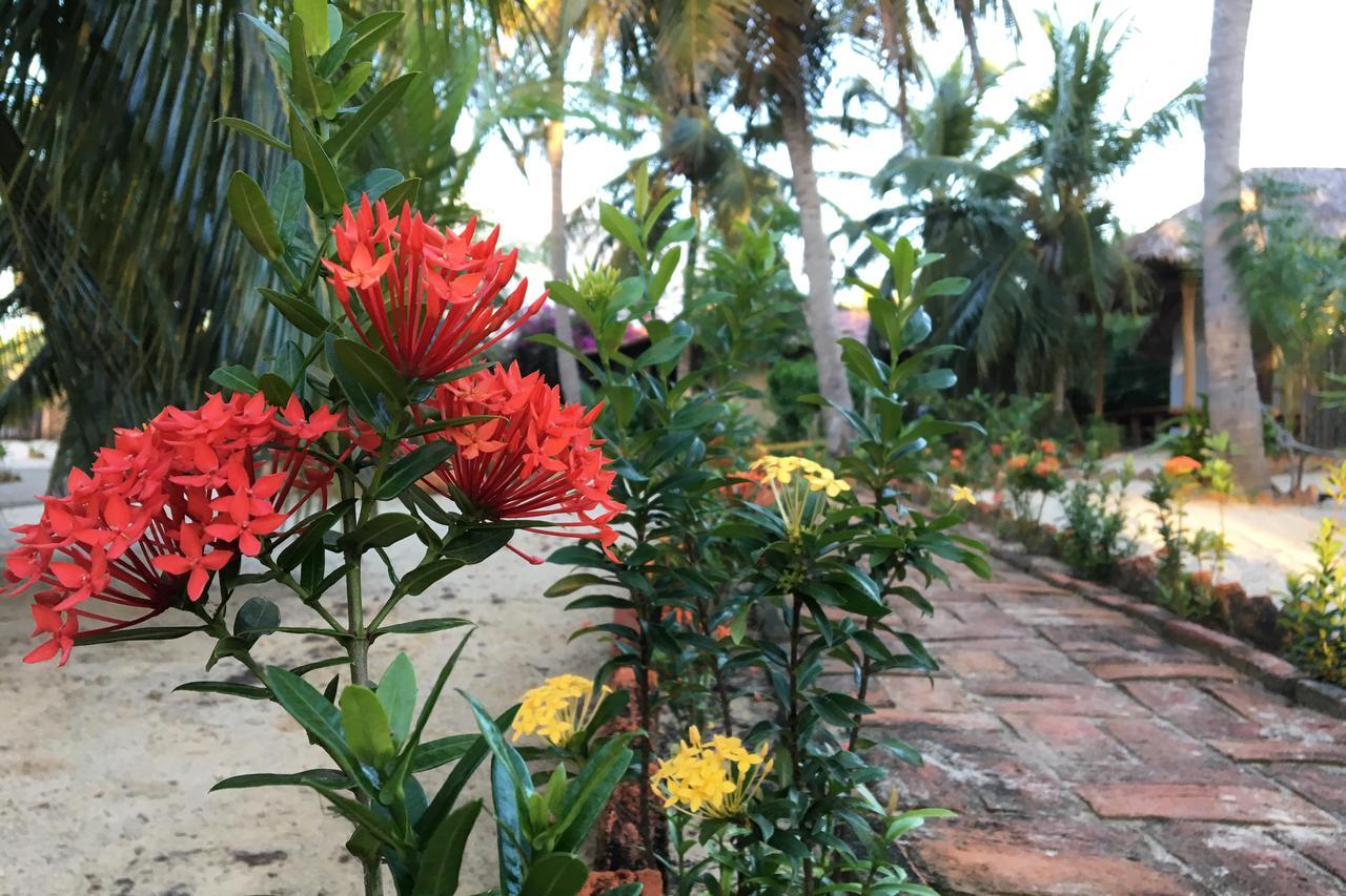 Pousada Villa Zen Barra Grande  Dış mekan fotoğraf